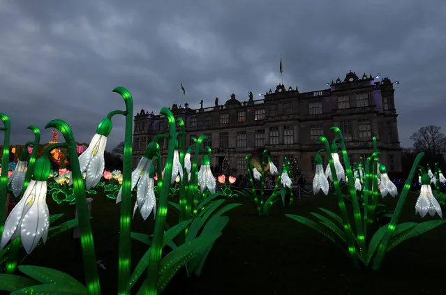 Lanterns are seen in a seasonal light display at Longleat House, during a Chinese Lantern Festival, near Warminster in south-west Britain, December 20, 2016. (Photo by Toby Melville/Reuters)