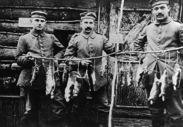 Three German soldiers display rats killed in their trench the previous night, 1916. (Photo by Faber/Getty Images)