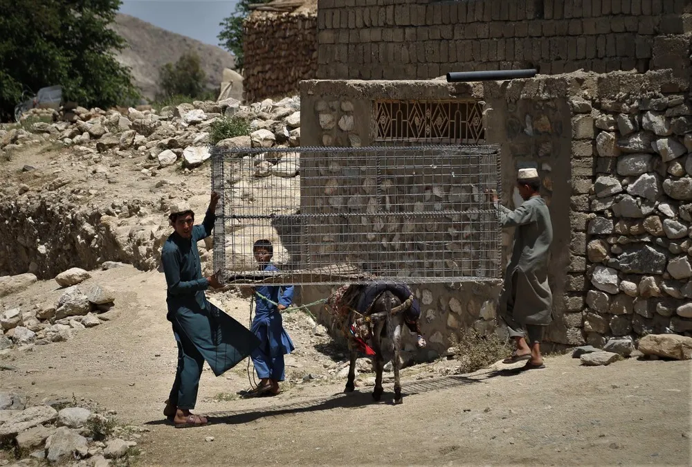 A Look at Life in Afghanistan