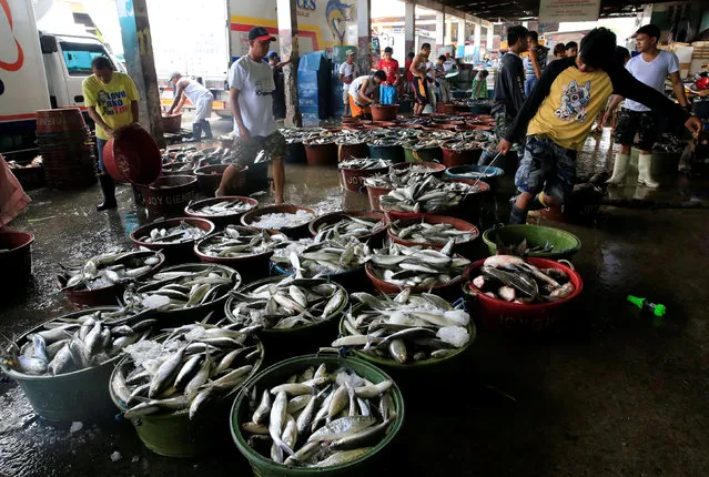 Various fishes are placed in buckets to be sold at a wet market in Navotas fish port, metro Manila, Philippines December 30, 2016. (Photo by Romeo Ranoco/Reuters)
