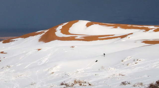 Record snowfall in the Sahara Desert near the town of Ain Sefra in Algeria on January 21, 2017. (Photo by Geoff Robinson/Rex Features/Shutterstock)