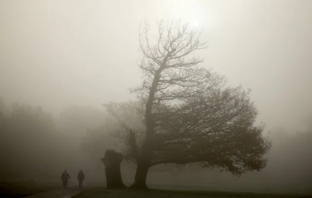 People walk their dogs in a foggy Wythenshawe Park in Manchester, Britain on November 29, 2023. (Photo by Phil Noble/Reuters)