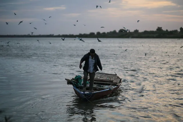 In this Thursday, April 16, 2015 photo, a Sudanese fisherman prepares to sail his boat at the start of the day at the Nile River, in Omdurman, Khartoum, Sudan. The river fishermen spend most of their days on the water; their four-long meter boats turn into temporarily homes. (Photo by Mosa'ab Elshamy/AP Photo)
