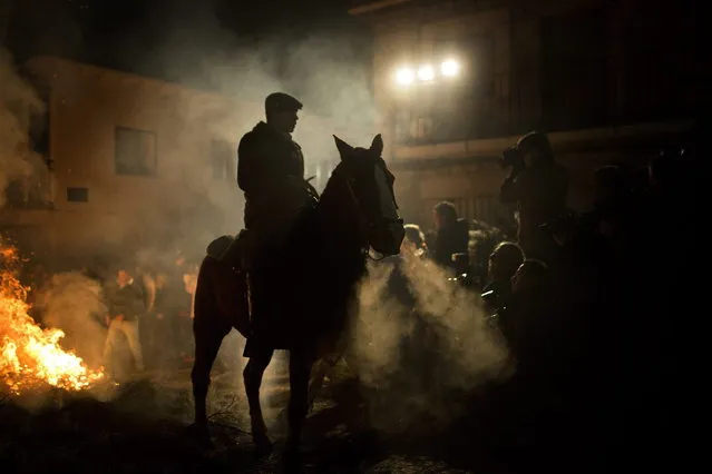 A man rides a horse next to a bonfire as part of a ritual in honor of Saint Anthony, the patron saint of animals, in San Bartolome de Pinares, about 100 kilometers (62 miles) west of Madrid, Spain on Thursday, January 16, 2014. (Photo by Emilio Morenatti/AP Photo)