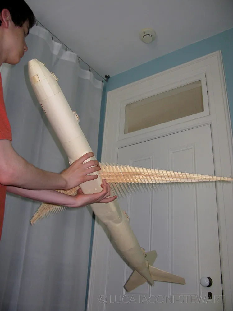  Realistic Paper Boeing 777 by Luca Laconi Stewart