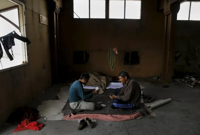 Afghan immigrants play cards inside a wood factory across the street from a ferry terminal in the western Greek town of Patras April 28, 2015. (Photo by Yannis Behrakis/Reuters)