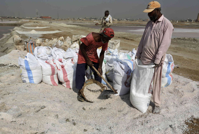 Laborer prepare sea salt bags after collecting from a coastal area near Karachi, Pakistan, Saturday, November 13, 2021. He earns average 1,050 Pakistani rupees (US$ 6) per day for their work to earn living for families. (Photo by Fareed Khan/AP Photo)