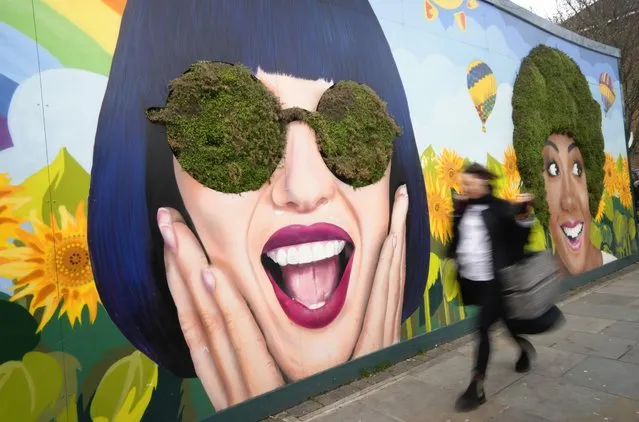 A pedestrian walks past a “Greeen Living Wall” art project produced in collaboration with The National Portrait Gallery and the Earls Court Development Company, at the former Earls Court Exhibition Centre site in London, Wednesday, January 11, 2023. Demolished in 2016, the site is set to be redeveloped. (Photo by Kirsty Wigglesworth/AP Photo)