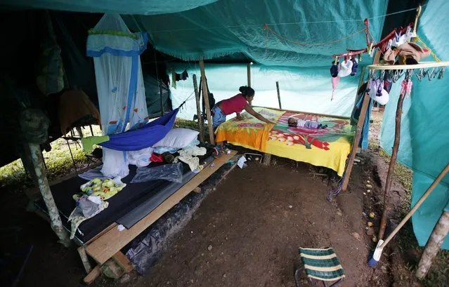 In this Tuesday, February 28, 2017 photo, FARC rebel Deisy Garcia makes her bed where her 3-month-old son Junior Alexis rests inside their tent at a rebel camp in a demobilization zone in La Carmelita, in Colombia's southwestern Putumayo state. The FARC kept strict control over its fighters' reproductive rights and female guerrillas who became pregnant were forced to leave newborns with relatives or abort. But after the FARC and government reached an agreement to end the armed conflict, those rules loosened, resulting in a baby boom. (Photo by Fernando Vergara/AP Photo)