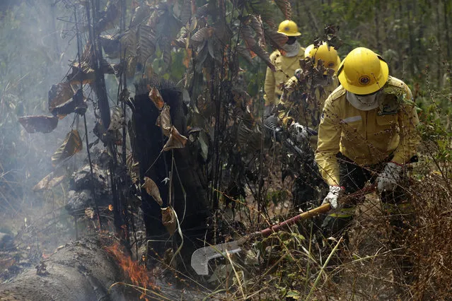 Firefighters work to put out fires in the Vila Nova Samuel region, along the road to the National Forest of Jacunda, near to the city of Porto Velho, Rondonia state, part of Brazil's Amazon, Sunday, August 25, 2019. Leaders of the Group of Seven nations said Sunday they were preparing to help Brazil fight the fires burning across the Amazon rainforest and repair the damage even as tens of thousands of soldiers were being deployed to fight the blazes that have caused global alarm. (Photo by Eraldo Peres/AP Photo)