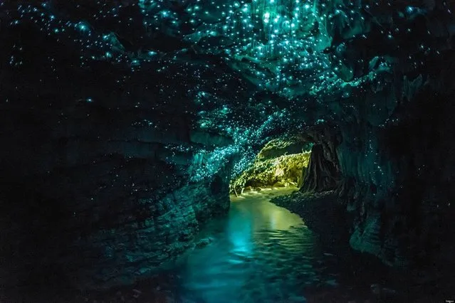 Waitomo Glowworm Caves New Zealand