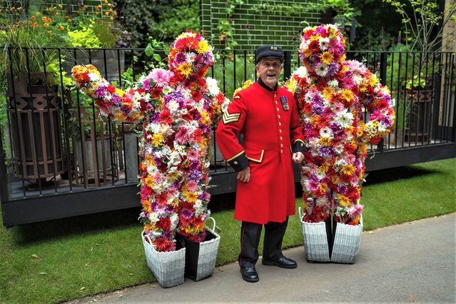 A “Chelsea pensioner” poses for a photograph with the “Bush Boys” at the Chelsea Flower Show on May 22, 2023 in London, England. The Chelsea Flower Show, also known as the Great Spring Show, is held for five days in May by the Royal Horticultural Society on the grounds of the Royal Hospital Chelsea. (Photo by Carl Court/Getty Images)