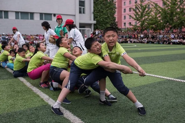 School children take part in a tug-of-war during sports games marking “Children's Union Foundation day”, in Pyongyang on June 6, 2017. (Photo by Ed Jones/AFP Photo)