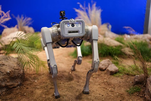 A robot dog is displayed during SAHA EXPO 2024 International Defense and Aerospace Exhibition at Istanbul Fair Center, Turkiye on October 22, 2024. (Photo by Cemal Yurttas/Anadolu via Getty Images)