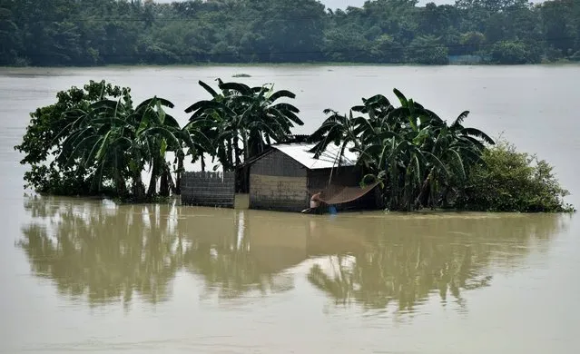 An Indian villager fishes as floodwaters surround a structure in Morigoan district, in India's northeastern state of Assam, on August 17, 2017. At least 221 people have died and more than 1.5 million have been displaced by monsoon flooding across India, Nepal and Bangladesh, officials said August 15, as rescuers scoured submerged villages for the missing. (Photo by Biju Boro/AFP Photo)