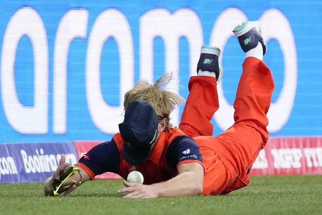 Netherlands' Bas de Leede dives to field the ball during the T20 World Cup cricket match between India and the Netherlands in Sydney, Australia, Thursday, October 27, 2022. (Photo by Rick Rycroft/AP Photo)