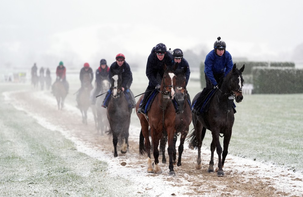 Sport last Week, Part 2/3