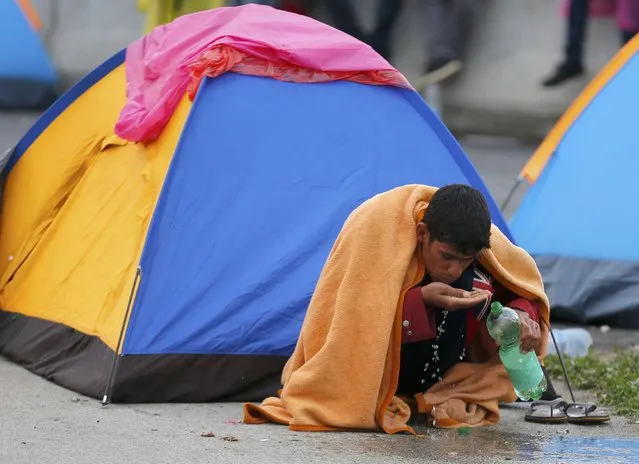 A migrant covered in a blanket drinks water outside a tent at the Croatia-Slovenia border crossing at Bregana, Croatia, September 20, 2015. (Photo by Laszlo Balogh/Reuters)