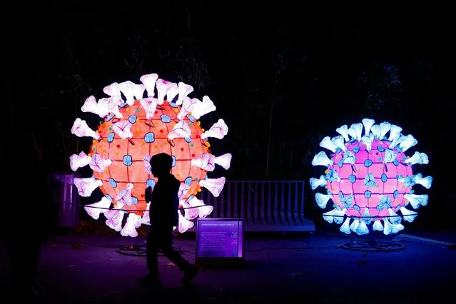 A visitor walks past an illuminated coronavirus (COVID-19) model as he visit the “Mini-Worlds on the Way of Illumination” (Mini-Mondes en voie d'illumination) exhibition during the Light Festival preview at the Jardin des Plantes (Botanical garden) in Paris, France, November 12, 2022. (Photo by Gonzalo Fuentes/Reuters)