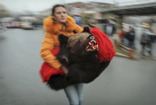 A woman carries a dancer's costume made of a bear's fur before a parade of new year's traditions in Comanesti, northern Romania, Saturday, December 30, 2017. The tradition, originating in pre-Christian times, when dancers wearing colored costumes or animal furs, went from house to house in villages singing and dancing to ward off evil, has moved to Romania's cities, where dancers travel to perform the ritual for money. (Photo by Vadim Ghirda/AP Photo)
