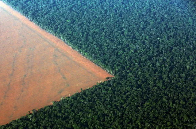The Amazon rain forest (R), bordered by deforested land prepared for the planting of soybeans, is pictured in this aerial photo taken over Mato Grosso state in western Brazil, October 4, 2015. Brazil will produce a record 97.8 million tonnes of soybeans in 2015/16, a 3.2 percent rise compared to 2014/15, but much of this additional volume will be stored in the country, with little impact on export volumes, estimated on Monday the Brazilian Association of Vegetable Oil Industries (ABIOVE). (Photo by Paulo Whitaker/Reuters)
