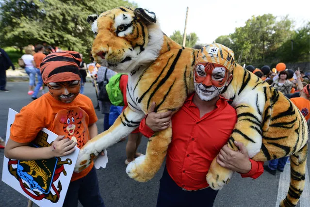 A man carrying a tiger plush toy takes part in a carnival parade marking Tiger Day in Vladivostok, Russia on September 25, 2016. (Photo by TASS/Barcroft Images)