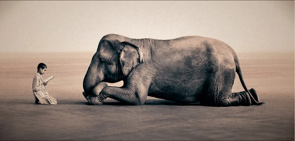 “Ashes and Snow” by Gregory Colbert 