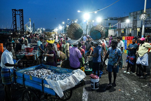 Fishermen selling freshly caught fish wait for customers early morning at the Kasimedu fishing harbour in Chennai on August 25, 2025. US President Donald Trump has threatened to double import duties on India from 25 to 50 percent to punish New Delhi for buying oil from Russia, saying the purchases help Moscow fund its invasion of Ukraine. Indian exporters are scrambling for options to mitigate the fallout as it threatens to upend low-margin, labour-intensive industries ranging from gems and jewellery to textiles and seafood. (Photo by R. Satish Babu/AFP Photo)