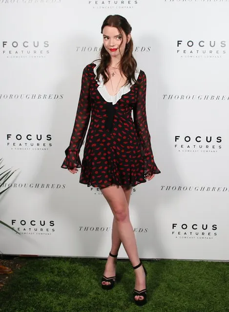 American-Argentine-British actress Anya Taylor-Joy attends the Focus Features' “Thoroughbreds” premiere on February 28, 2018 in Los Angeles, California. (Photo by JB Lacroix/WireImage)