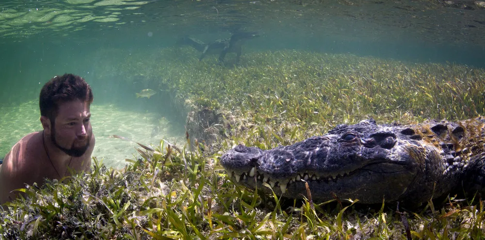 How the Pros Film Crocodiles Up Close