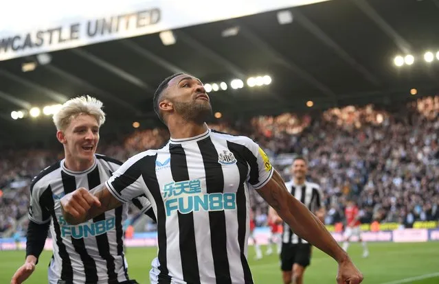 Newcastle striker Callum Wilson celebrates after scoring the second Newcastle goal during the Premier League match between Newcastle United and Manchester United at St. James Park on April 02, 2023 in Newcastle upon Tyne, England. (Photo by Stu Forster/Getty Images)