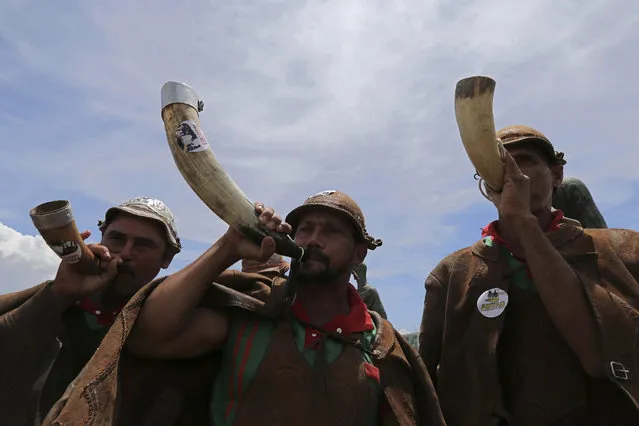 Cowboys play berrantes, traditional blowing horn instruments, during a protest against the Supreme Court decision declaring unconstitutional the practice of “vaquejada”, a rodeo competition popular in Brazil’s northeast region, in Brasilia, Tuesday, October 25, 2016.  The vaquejada involves two men on horseback, who herd a running bull, within a marked area, and knock it violently down to the ground. In many cases the bull is given electrical shocks to scare it into running. The sport is also deemed cruel to the horses who are left with scars from long spiked spurs used by the vaqueiros, or cowboys. (Photo by Eraldo Peres/AP Photo)
