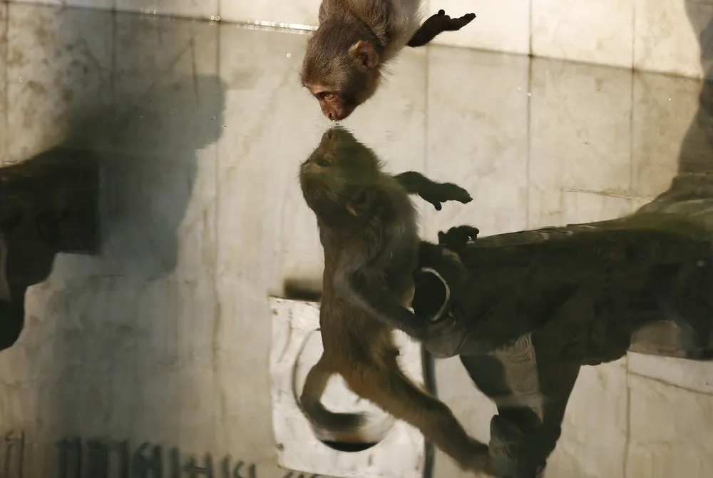 Simply Some Photos: Reflections