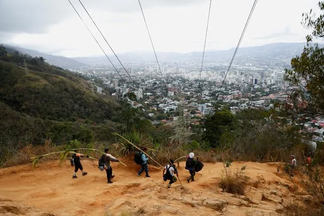 Members of the Palmeros de Chacao brotherhood walk down the mountain while carrying packs of palm leaves to be blessed at a Catholic church to mark the beginning of the Holy Week, in Caracas, Venezuela on April 1, 2023. (Photo by Leonardo Fernandez Viloria/Reuters)