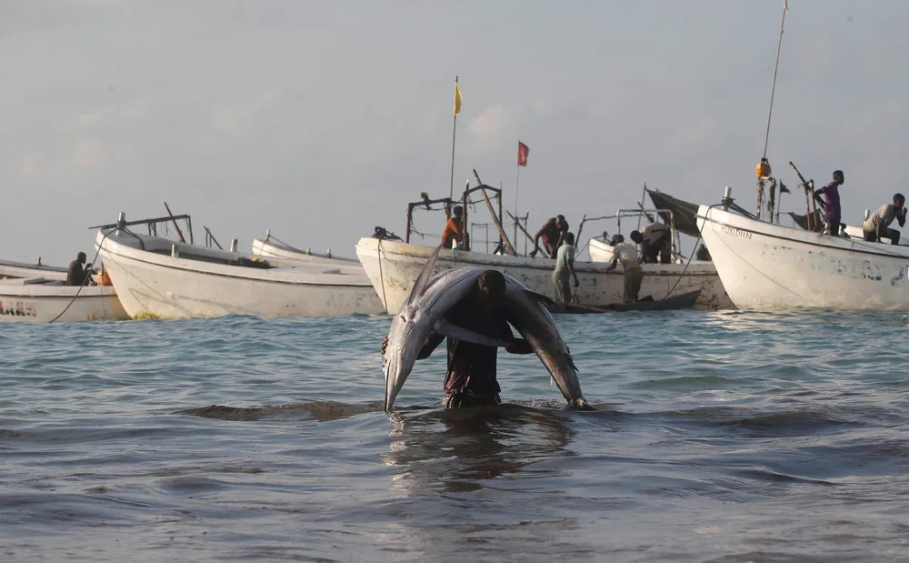 Simply Some Photos: Somalia Daily Life