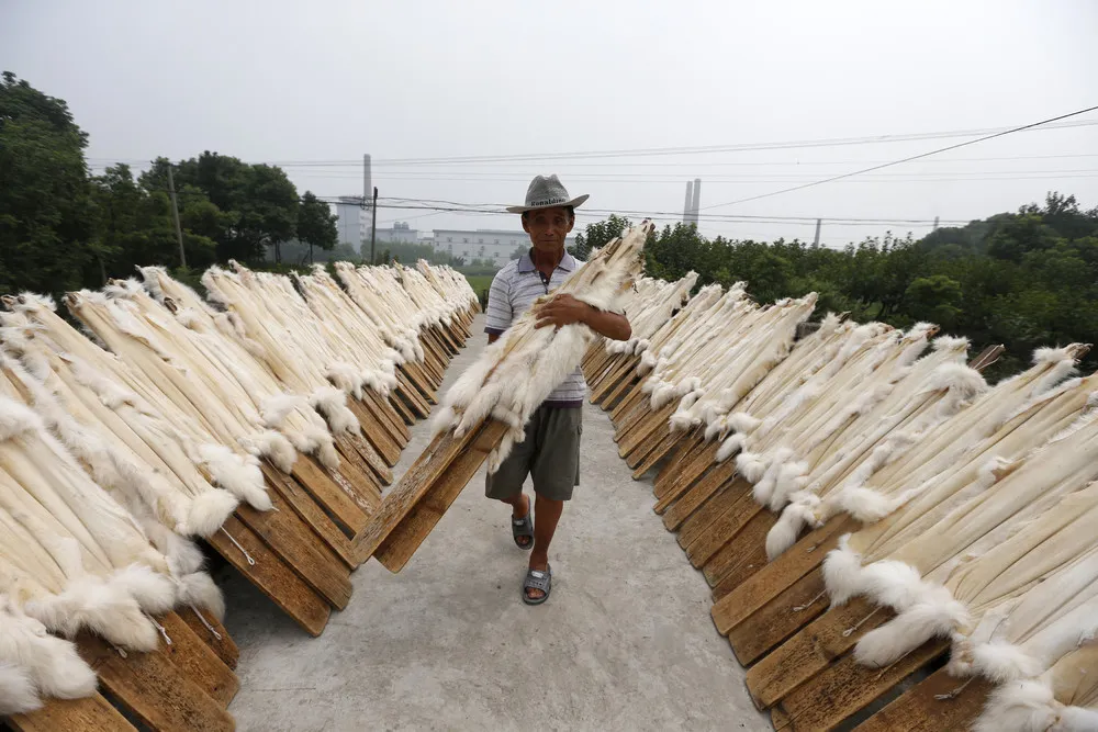 China's Fur Trade