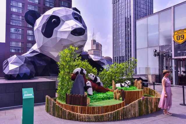 Lego sculptures of giant pandas created by New York-based artist Sean Kenney are on display during the "Nature Connects" Lego exhibition at the Chengdu International Finance Square (IFS) in downtown Chengdu city, Sichuan province, China on June 24, 2018. Nature Connects is an award-winning, record-breaking exhibition now touring North America, Asia, and Europe. Created with over one million LEGO pieces, this show features hundreds of sculptures built with LEGO bricks by New York artist Sean Kenney. Now the “Nature Connects” Lego exhibit is coming to China. 27 large-scale Lego sculptures will be installed at Chengdu International Finance Square from Jun.21 to Aug.31, 2019, as part of the China debut of touring exhibition. (Photo by Imaginechina/Rex Features/Shutterstock)
