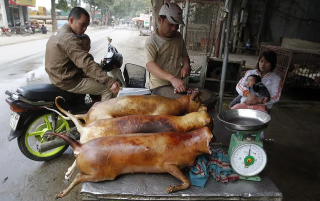 A vendor (C) cuts slaughtered dogs for sale at his roadside stall in Duong Noi village, outside Hanoi December 16, 2011. While animal rights activists have condemned eating dog meat as cruel treatment of the animals, it is still an accepted popular delicacy for some Vietnamese, as well in some other Asian countries. Duong Noi is well-known as a dog-meat village, where hundreds of dogs are killed each day for sale as popular traditional food. Dog-eating as a custom is rooted in Vietnam and was developed as a result of poverty. One kilogram of dog meat costs about 130,000 dongs ($6.2). (Photo by Reuters/Kham)