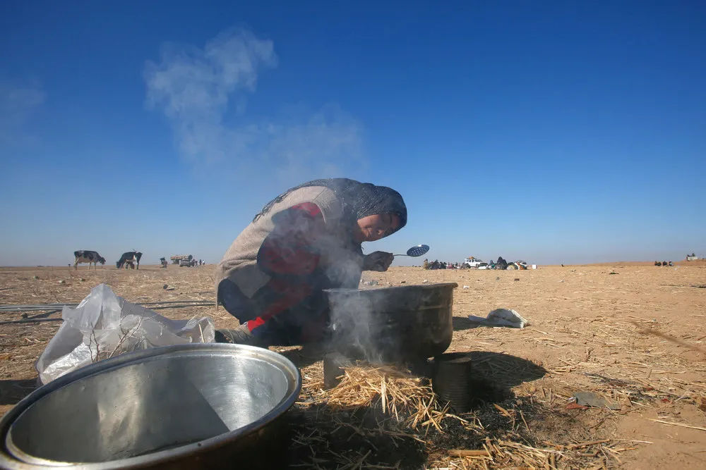 Iraqis Flee Mosul Fighting
