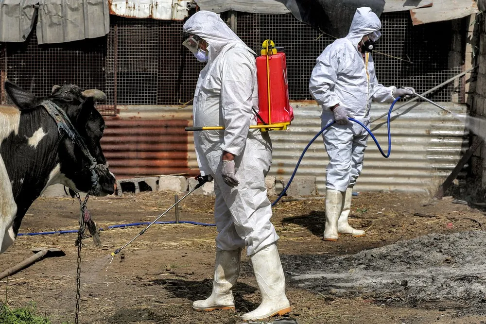 A Look at Life in Iraq