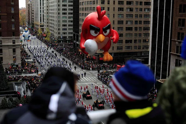 An Angry Bird float makes its way down 6th Avenue during the 90th Macy's Thanksgiving Day Parade in the Manhattan borough of New York, U.S. November 24, 2016. (Photo by Saul Martinez/Reuters)