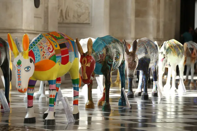 Artist painted donkey statues are displayed in the “Caravan” exhibition on August 30, 2013 in London, England. (Photo by Peter Macdiarmid/Getty Images)