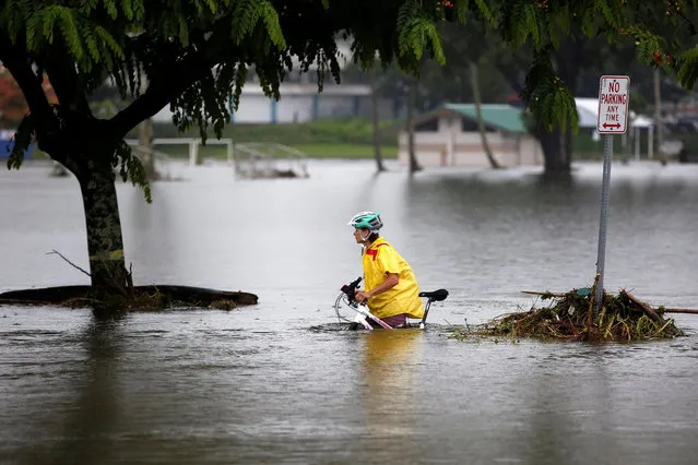 A woman pushes her bicycle through flooding caused by Hurricane Lane in Hilo, Hawaii on August 26, 2018. (Photo by Terray Sylvester/Reuters)