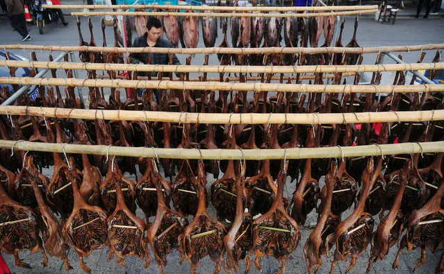A vendor arranges salted dried ducks in Hangzhou, Zhejiang province, December 6, 2016. (Photo by Reuters/Stringer)