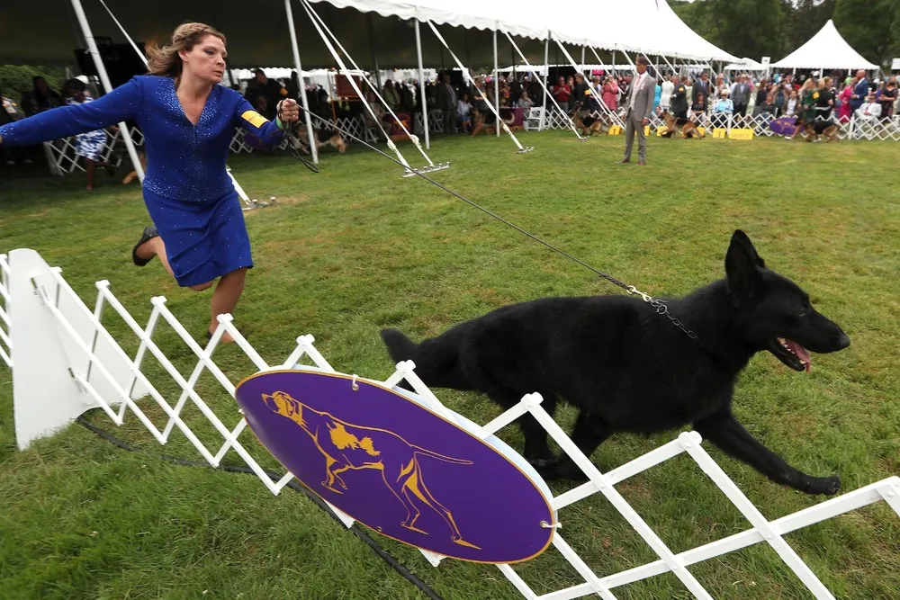 USA last Week, Part 1/2