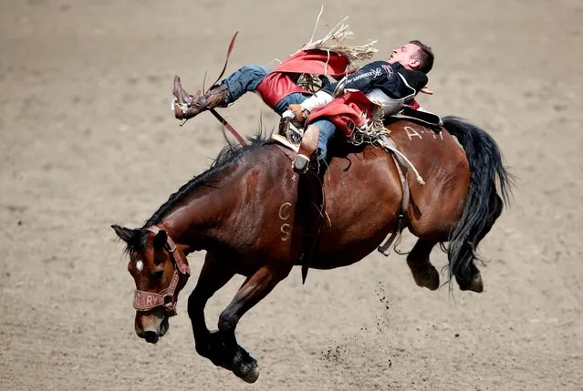 Tim O'Connell of Zwingle, Iowa rides Arbitrator Joe in the bareback event during the rodeo as the Calgary Stampede gets underway following a year off due to coronavirus disease (COVID-19) restrictions, in Calgary, Alberta, Canada on July 9, 2021. (Photo by Todd Korol/Reuters)