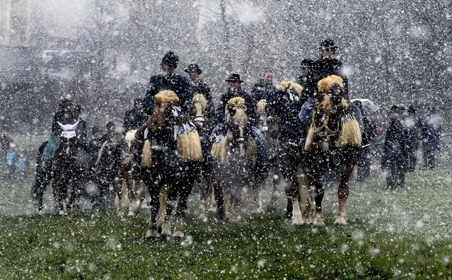 Pilgrims dressed in traditional Bavarian clothes attend the traditional Georgi horse riding procession on Easter Monday in heavy snowfall, in the southern Bavarian town of Traunstein April 6, 2015. (Photo by Michael Dalder/Reuters)