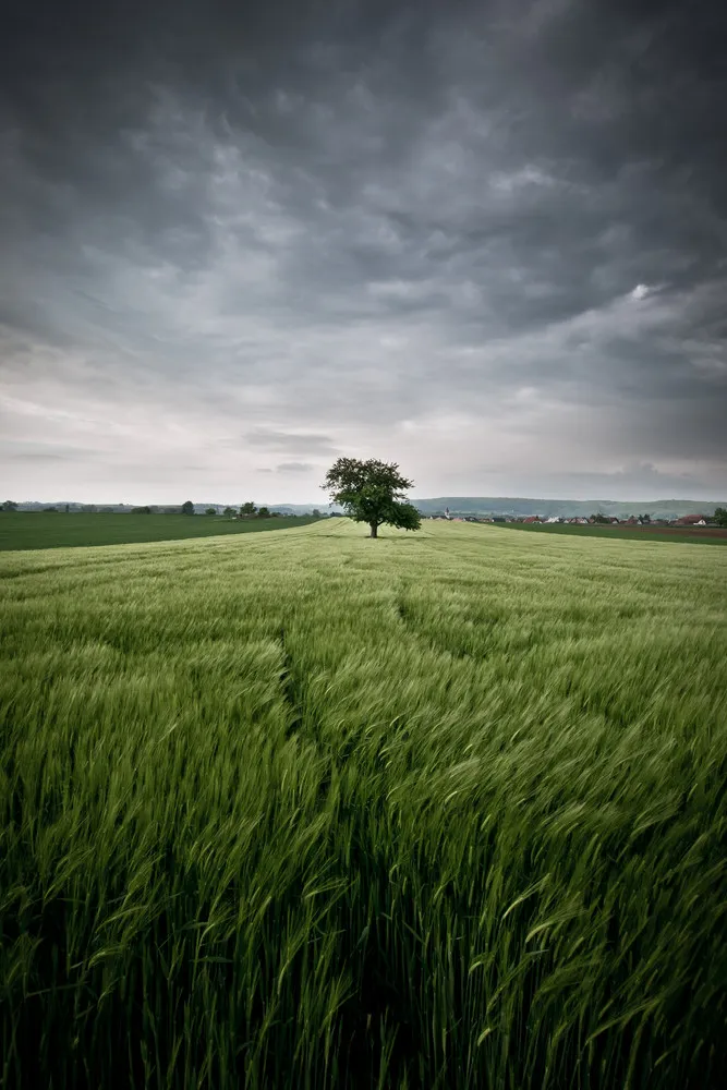Landscapes by Andreas Wonisch