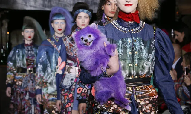 A dog accompanies models who present creations by Indian designer Manish Arora as part of his Fall/Winter 2016/2017 women's ready-to-wear collection in Paris, France, March 3, 2016. (Photo by Gonzalo Fuentes/Reuters)