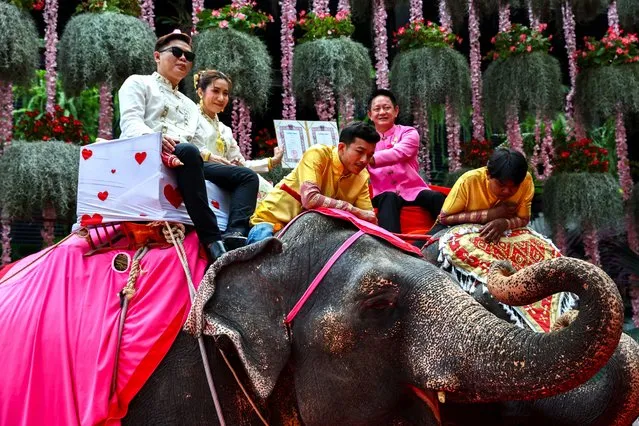 Jirat Somprasung and Rawitsara Chotiwatpongsaton receive their marriage license from an officer while riding elephants during a Valentine's Day celebration, at the Nong Nooch Tropical Garden in Chonburi province, Thailand, on February 14, 2024. (Photo by Athit Perawongmetha/Reuters)